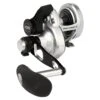 PENN Fathom® II Lever Drag 2 Speed
