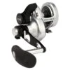 PENN Fathom® II Lever Drag 2 Speed