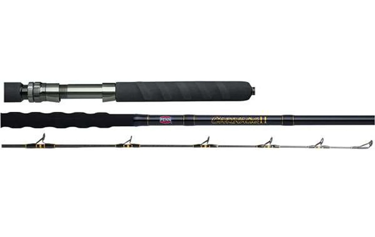 Penn Carnage II Boat Rods