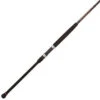 Penn Squadron II Surf Rods