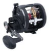 Penn Warfare Level Wind Reels