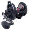Penn Warfare Star Drag Reels